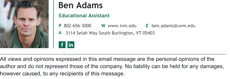 personal opinion email disclaimer for your email signature